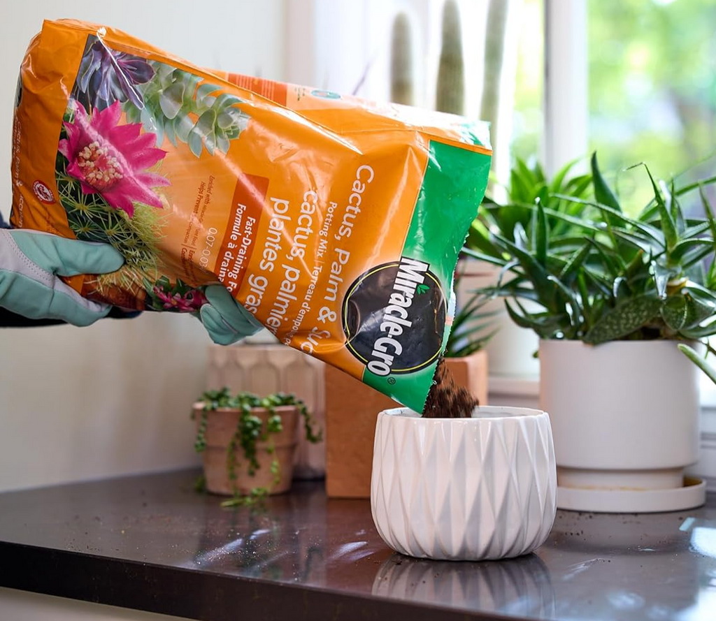 Miracle Gro Cactus Palm and Succulent Potting Mix | 8.8L  Plantsome