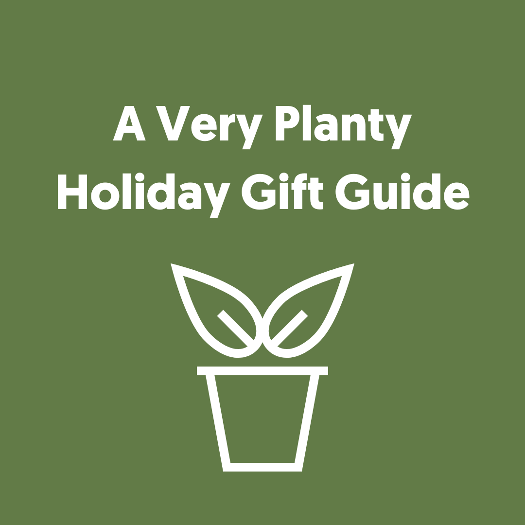 A Very Planty Holiday Gift Guide (For Every Person on your List)