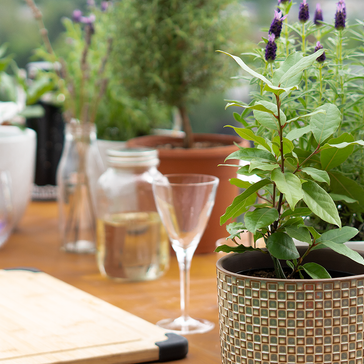 How to create a beautiful balcony garden this spring