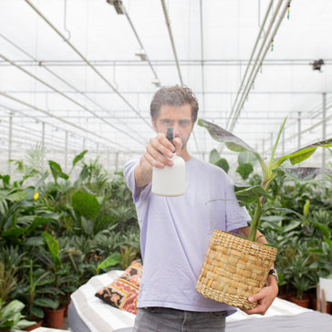 How to Keep your Plants Alive in the Winter
