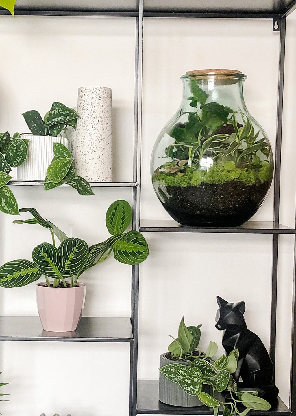 How to build your own DIY Terrarium