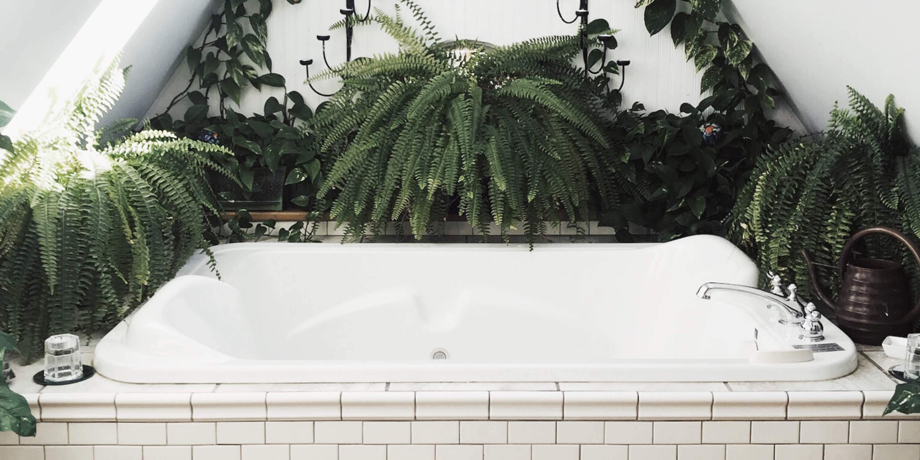 The 8 best plants for your bathroom
