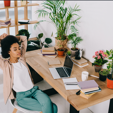 5 Indoor Plants to Help You Survive Back to School