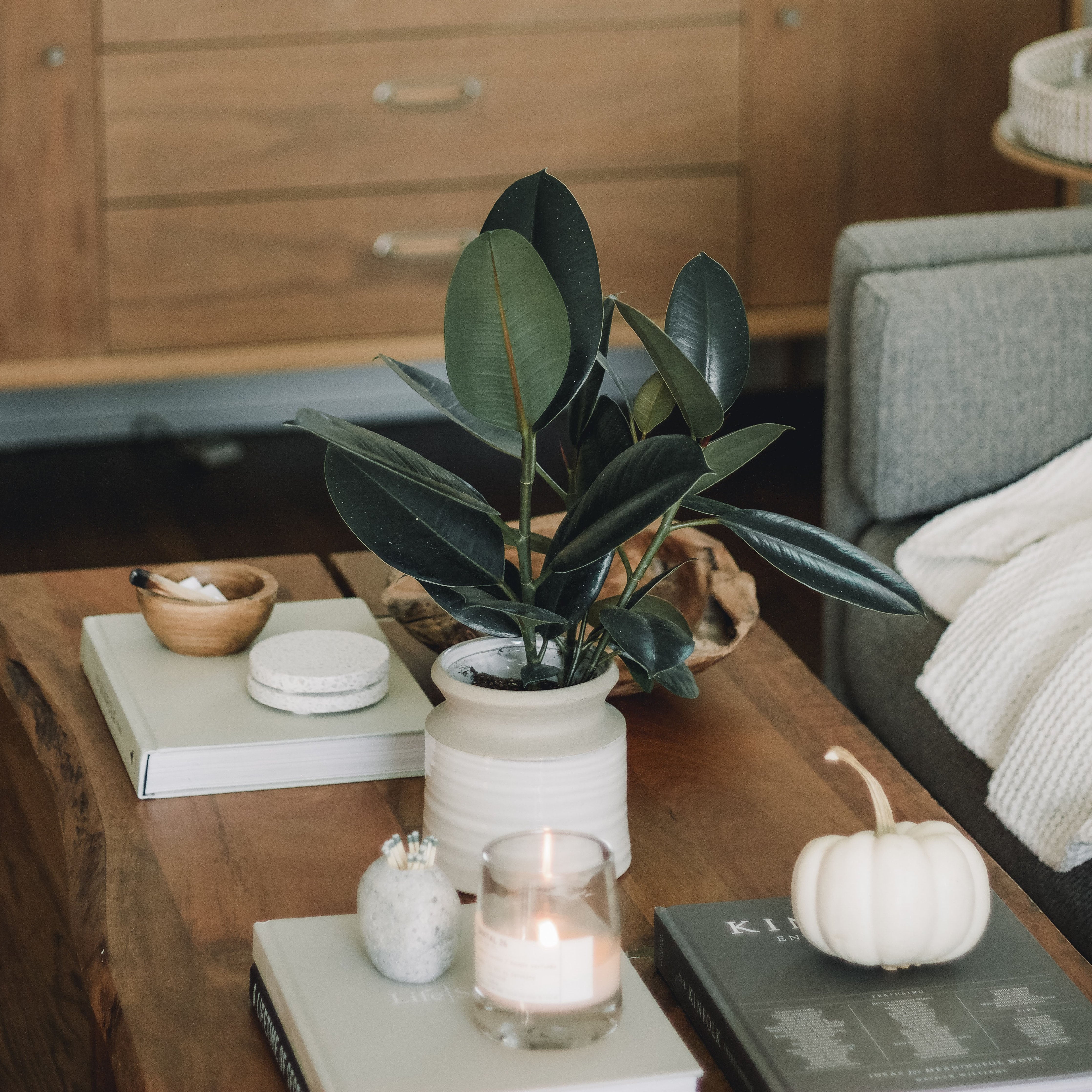 6 Ways to Prepare Your Houseplants for Fall