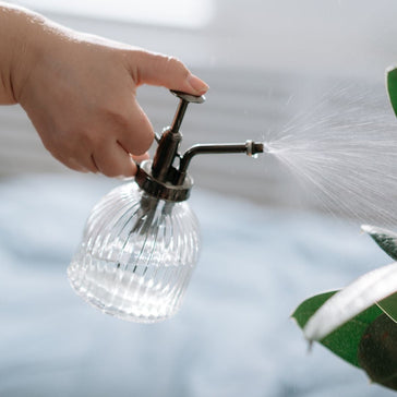 Natural Plant Care with Bios Fertilizer