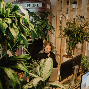 3 Reasons Why You Need Plants in Your Home Office