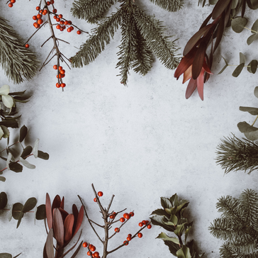 Plant Styling Tips for the Holidays