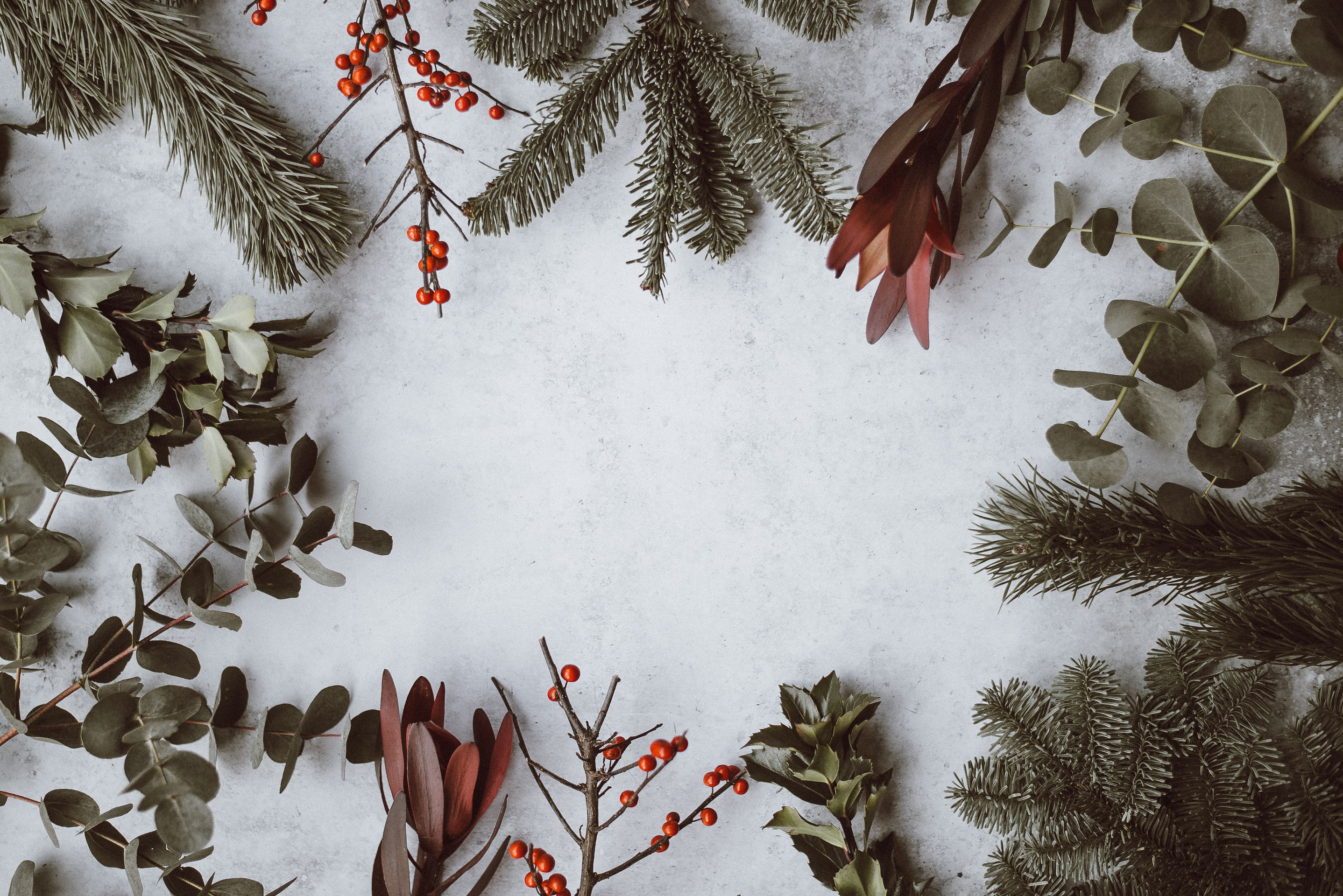 Plant Styling Tips for the Holidays