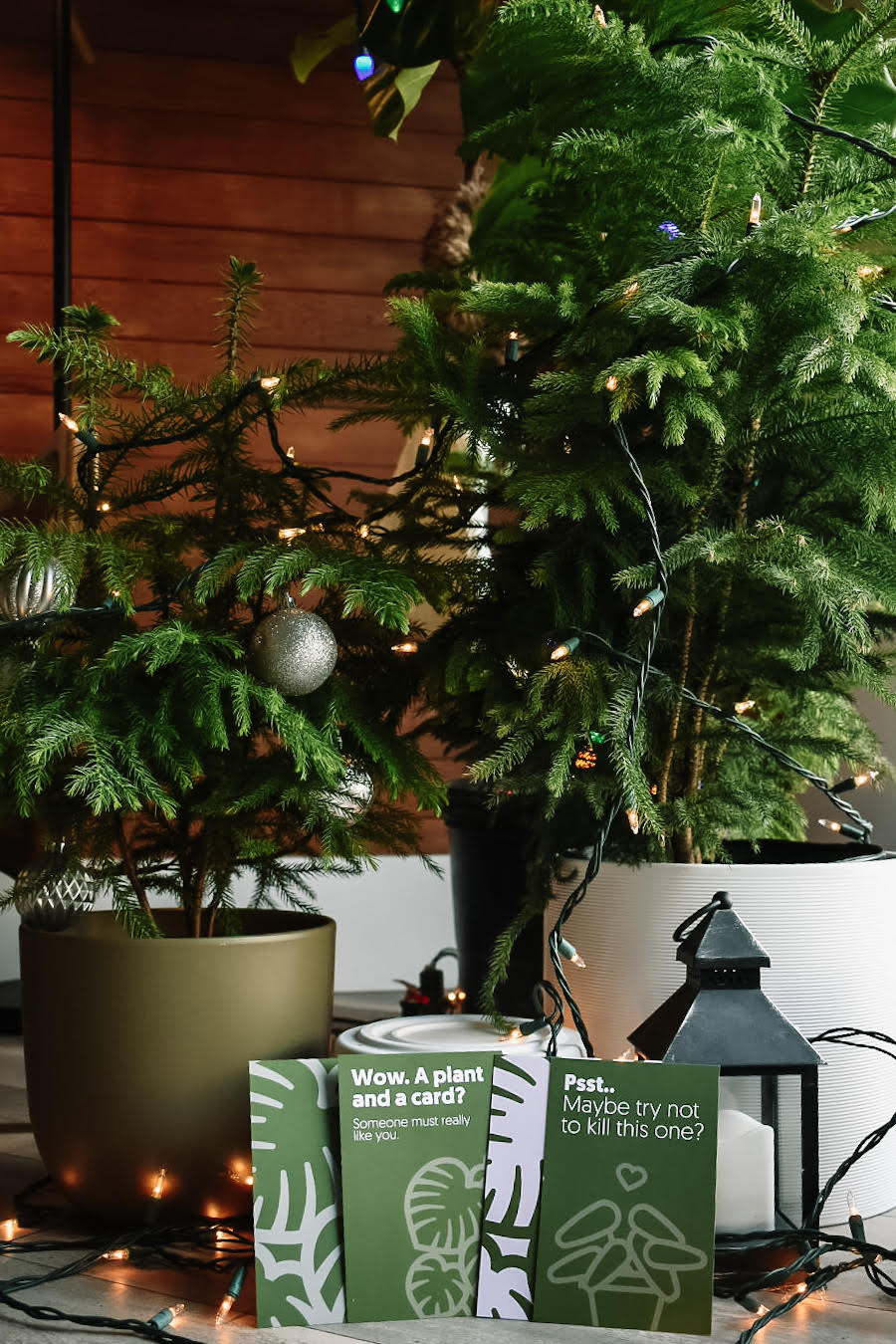 7 Unique Plant-Themed Gifts for the 2020 Holiday Season
