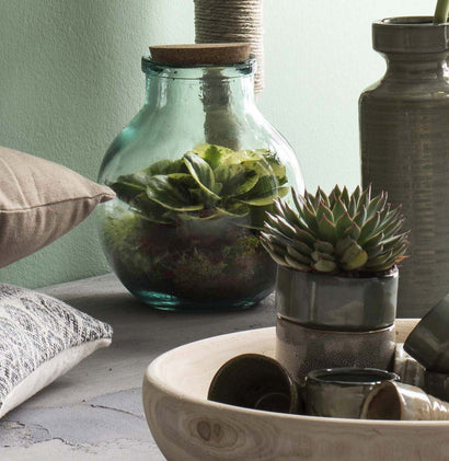 Benny the Terrarium | S