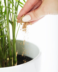 bios all natural plant fertilizer Bios Natural Plant Fertilizer 225g – Plantsome
