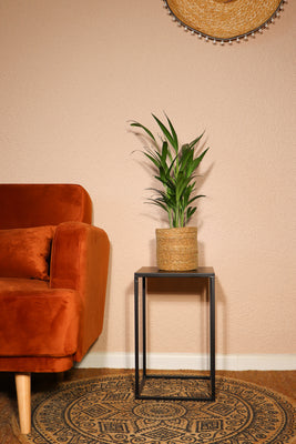 inspiratie