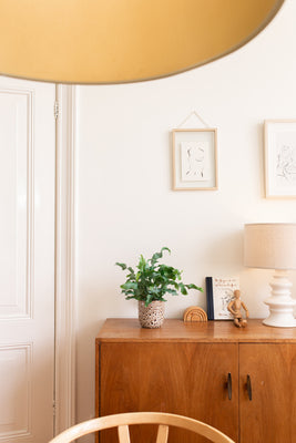 inspiratie