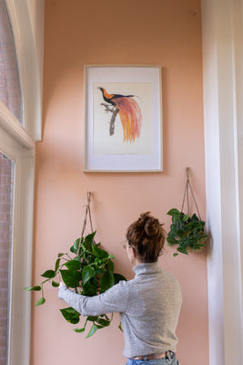 inspiratie