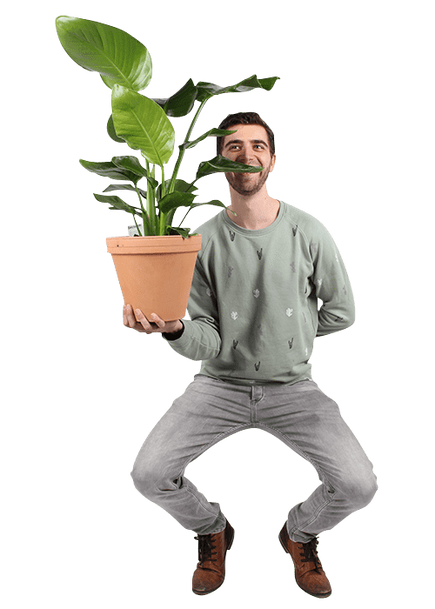 Plantenliefhebber