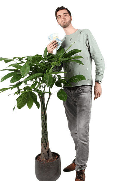 Plantenliefhebber