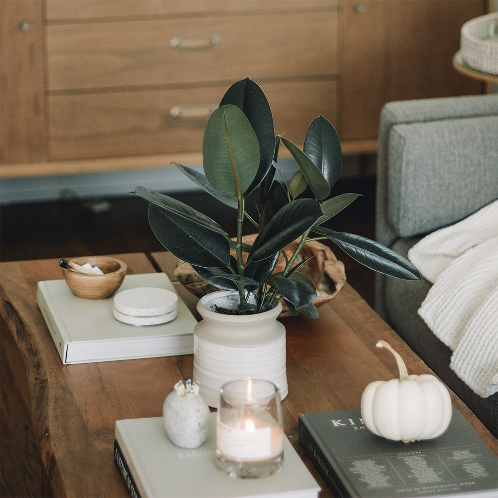 inspiratie