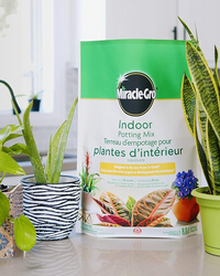 miracle gro all purpose potting mix Miracle Gro All Purpose Indoor Potting Mix