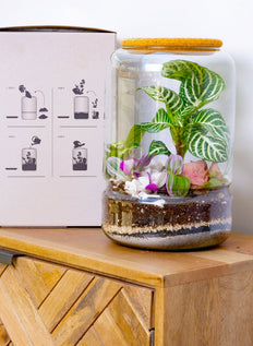 inspiratie
