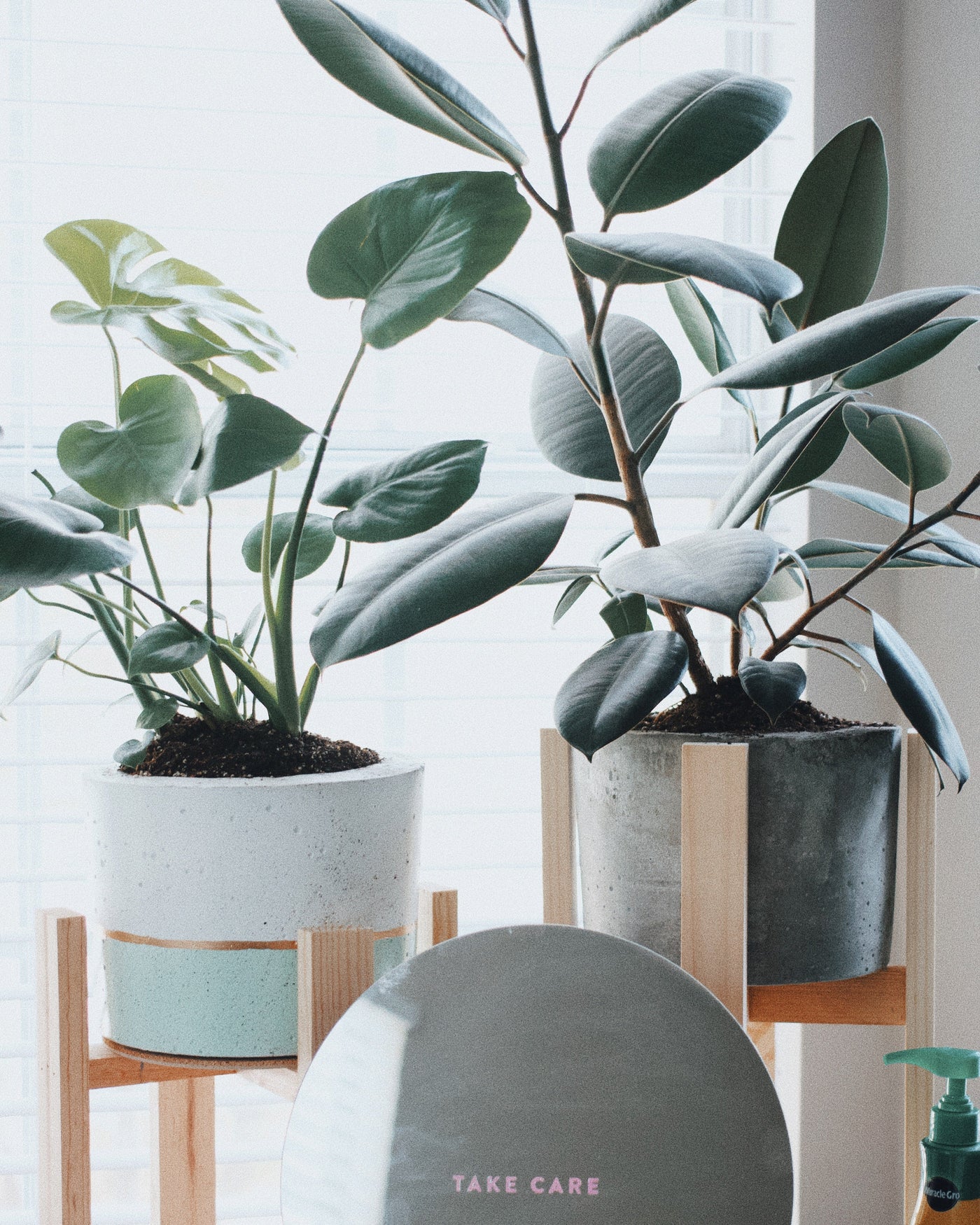 inspiratie