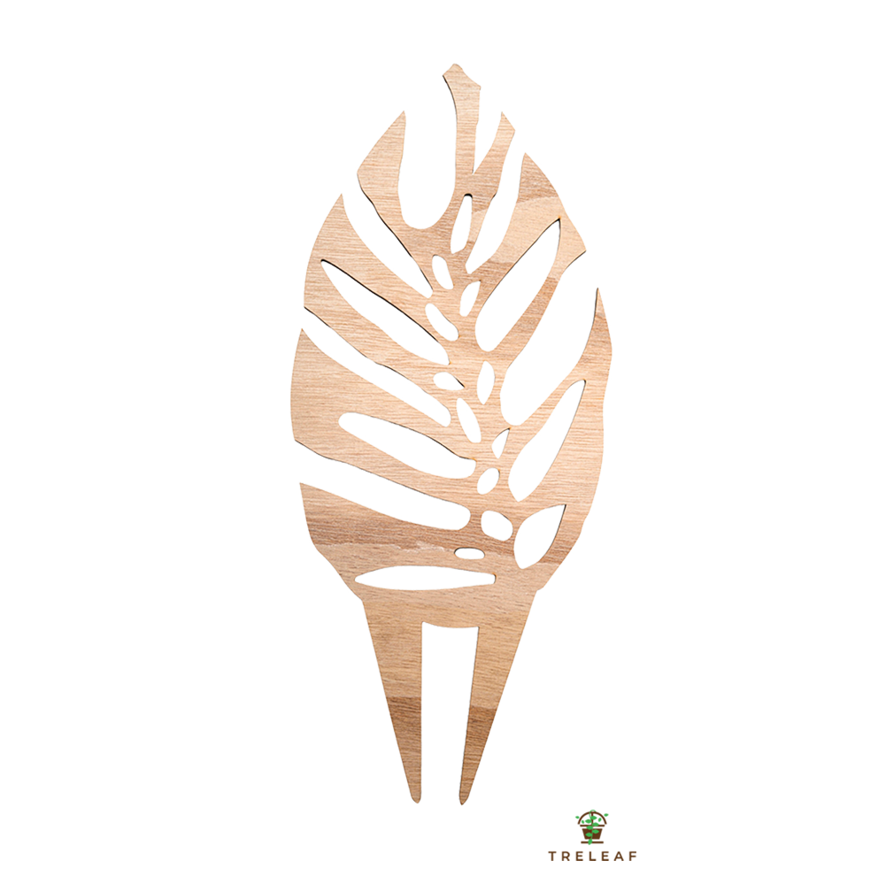 Monstera Leaf Trellis for Climbing Plants