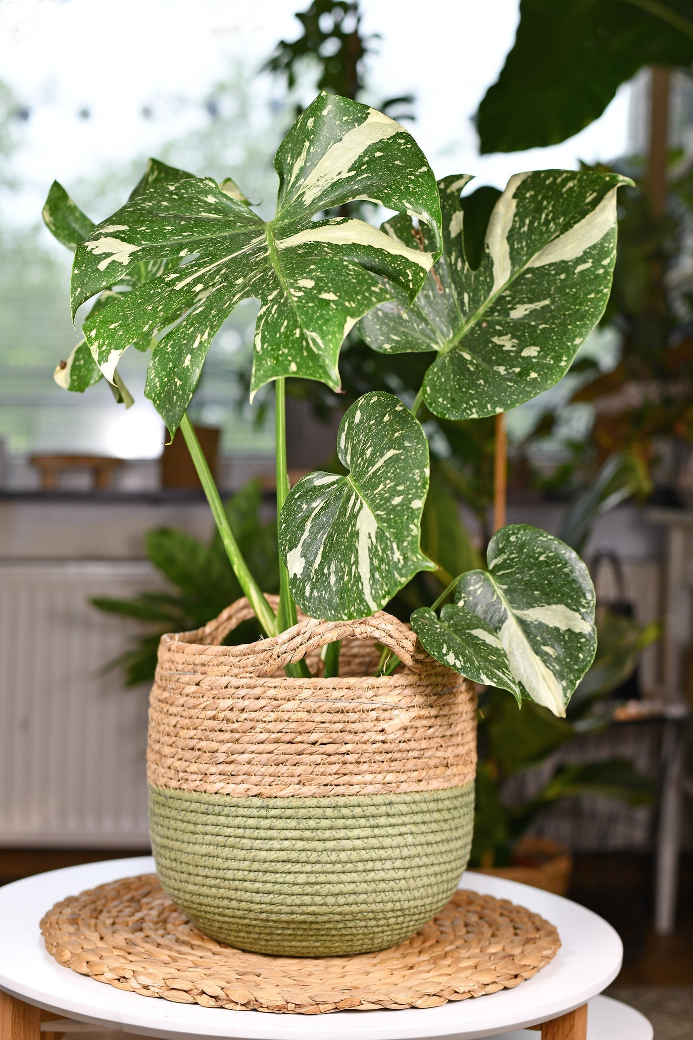 inspiratie
