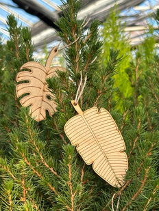 Plant Ornaments - Set of 2