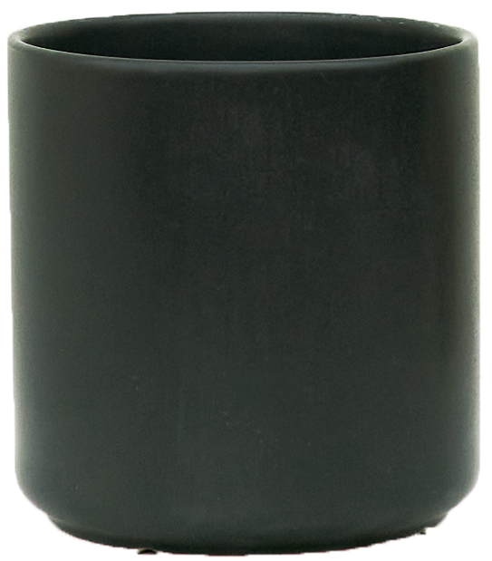 Ricky (Fits 4 inch) – Plantsome