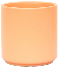 Ricky (Fits 4 inch)